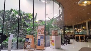 Thumbnail for 139807