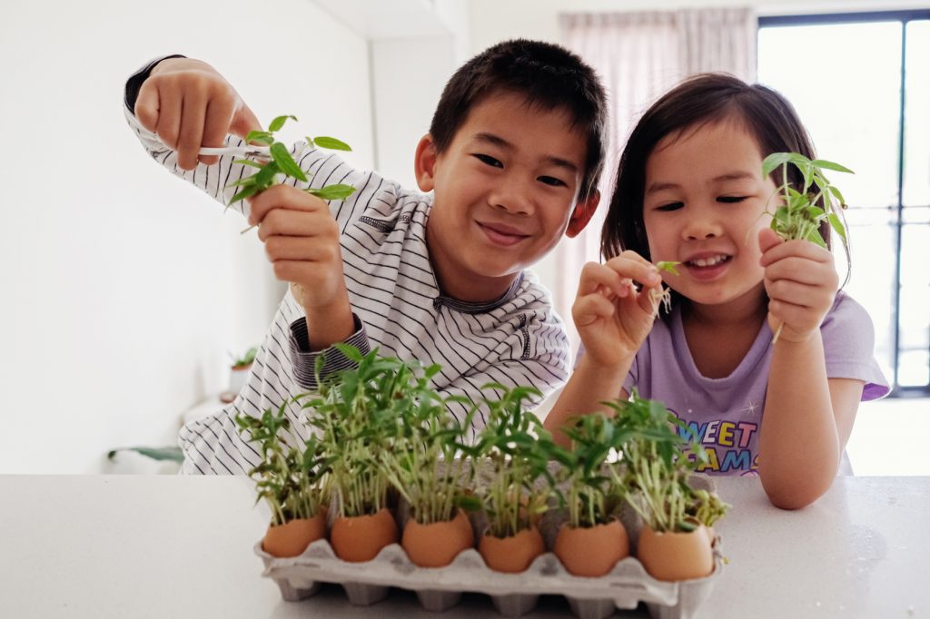 Mixed Asian children holding seedling in eggshells,, eco gardening, montessori, education , reuse concept