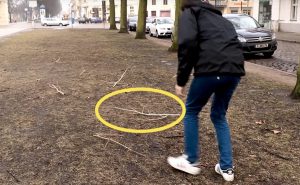 Kerää risuja talteen! Näin muutat ne kauniiksi koristeiksi pienellä budjetilla Risut