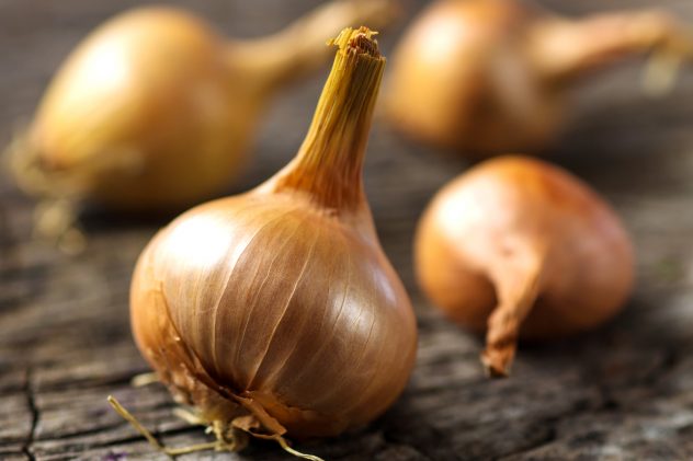 Onions on wooden background