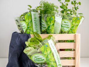 Thumbnail for 142562