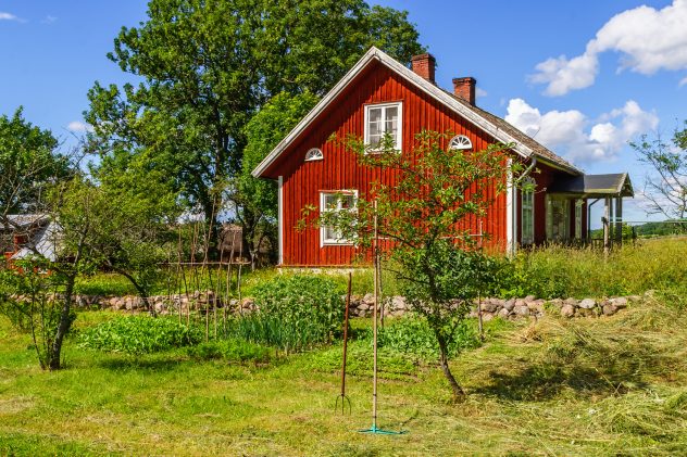 Cottage with a garden in summer