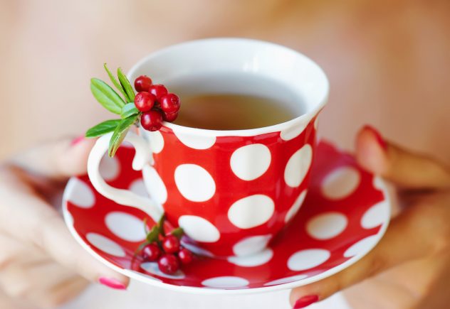 Cowberry (Vaccinium vitis-idaea) tea in woman hands