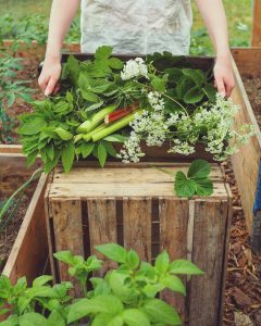 Thumbnail for 145506