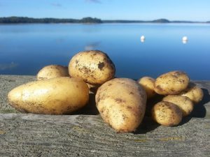 Thumbnail for 145214