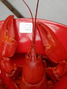 Thumbnail for 144768