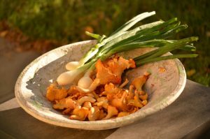 Thumbnail for 144865