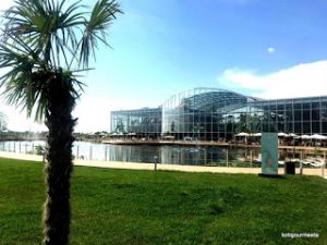 Thumbnail for 144956