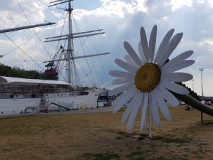 Thumbnail for 144984