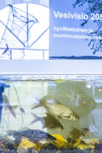 Roskakalasta herkuksi Thumbnail for 144341