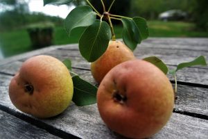 Thumbnail for 144609