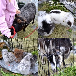 Thumbnail for 145719