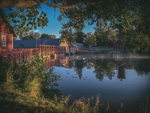 Thumbnail for 148541