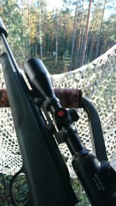 Thumbnail for 146009