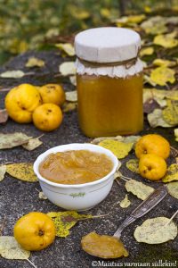 Thumbnail for 146135