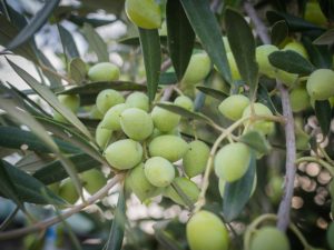 Thumbnail for 146160