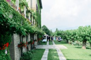 Thumbnail for 146196