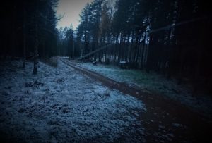 Thumbnail for 146403