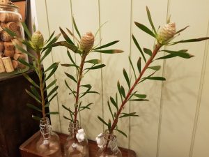 Thumbnail for 146977