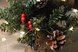 Thumbnail for 147473