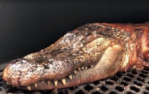Krokodil