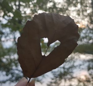 Thumbnail for 148309