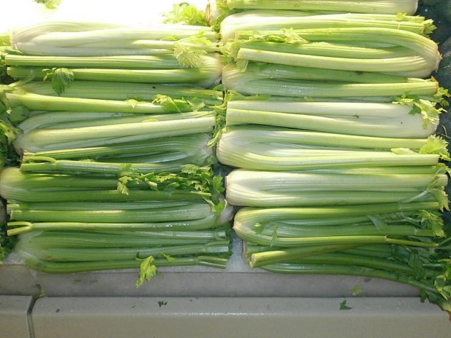 800px-Celery_stacks