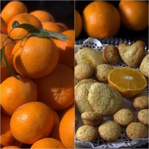 Thumbnail for 149473