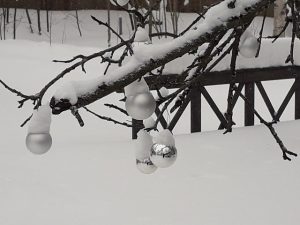 Thumbnail for 149499