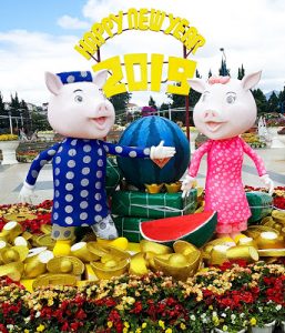 Thumbnail for 150219