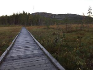 Thumbnail for 151674