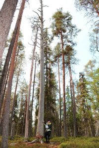 Thumbnail for 151865