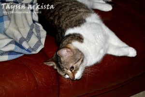 Thumbnail for 152088