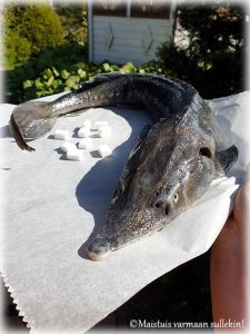 Thumbnail for 152128