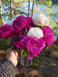 Thumbnail for 152300