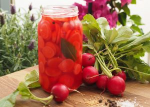 Pirteän pinkit pikkelöidyt retiisit, myös pikaversiona Thumbnail for 152608