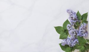 Thumbnail for 152810