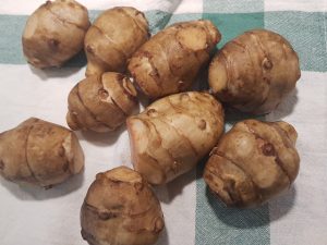 Thumbnail for 153493