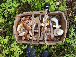 Thumbnail for 153979