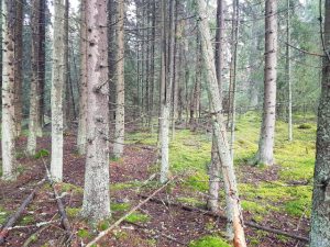 Thumbnail for 154154