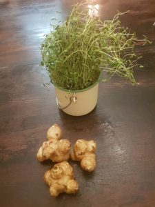 Thumbnail for 154499