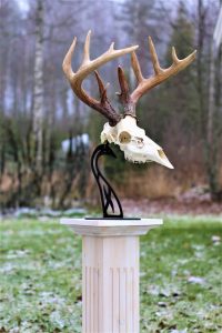 Thumbnail for 154507