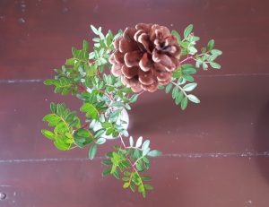 Thumbnail for 154870