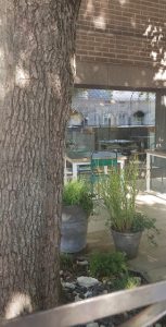 Thumbnail for 155096