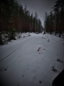 Thumbnail for 155689