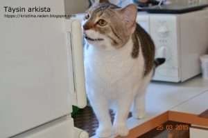 Thumbnail for 156264