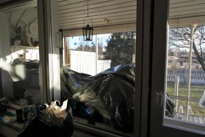 Thumbnail for 156529