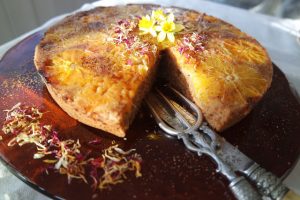 Thumbnail for 156625