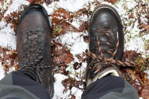 Thumbnail for 156808