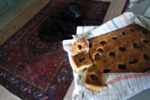 Thumbnail for 157169